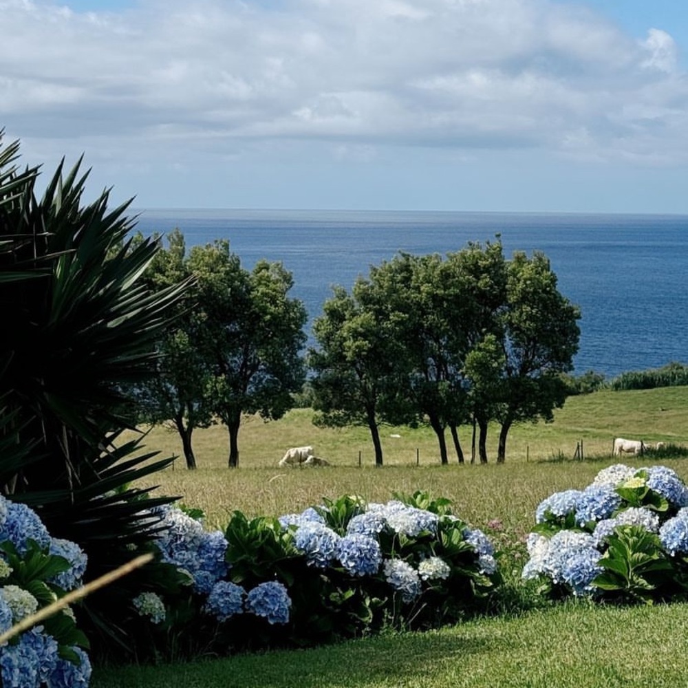 Meet your Posher, naija